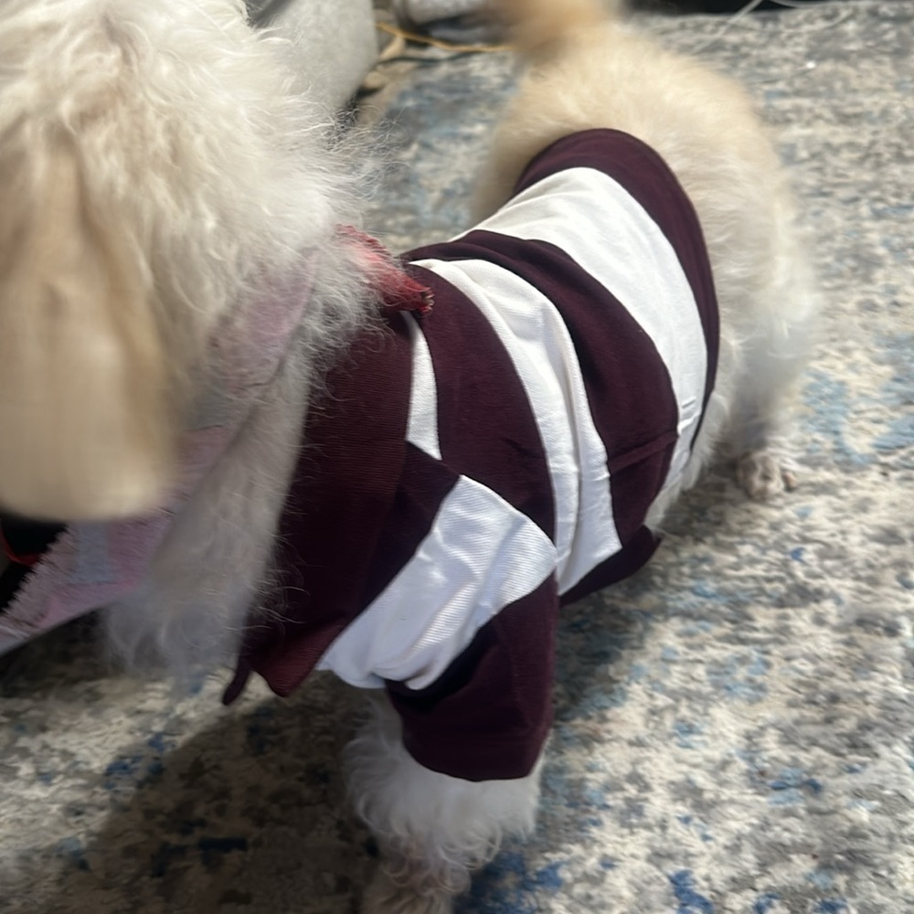 Striped Jersey-Knit Polo Shirt for Pets - Picture 4 of 6